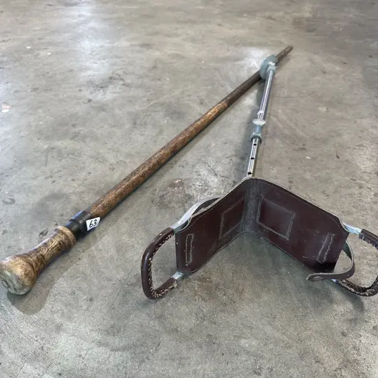 Shooting & walking sticks