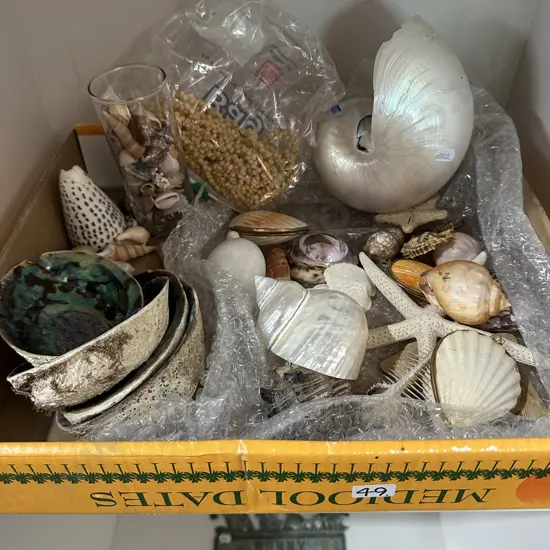 Shell collection