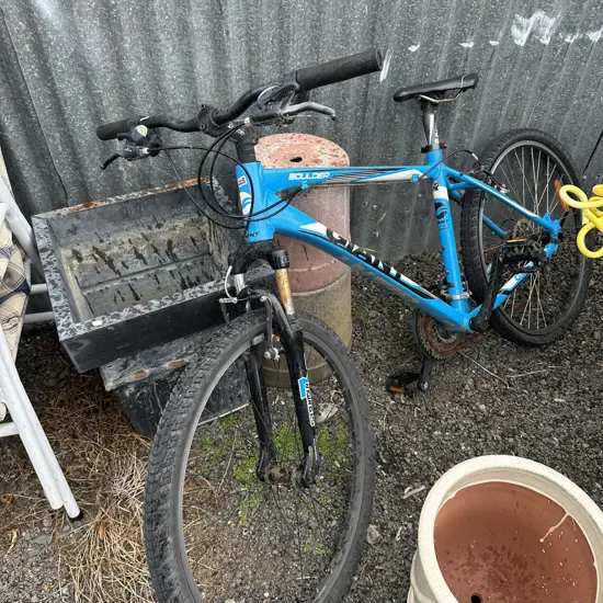 Bike- needs new back tyre and wof