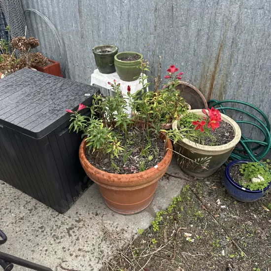 Large lot of planters, hose and bin (cracked lid) plus step