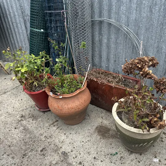 Rolls of netting and planters, stakes and pr cane chairs