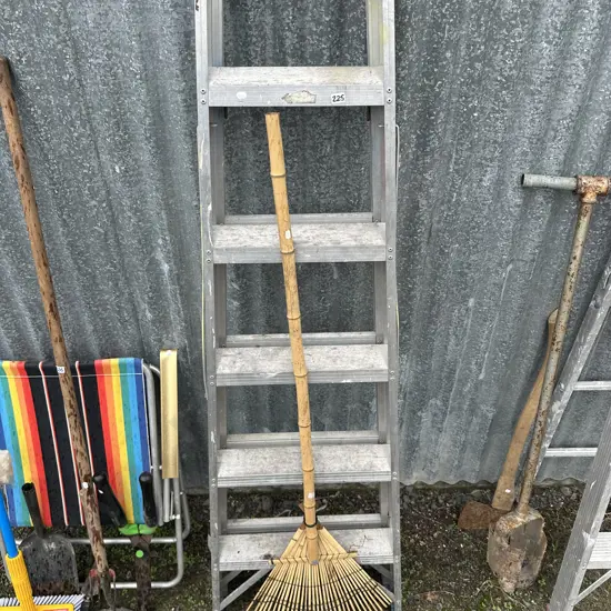 Ladder and rake
