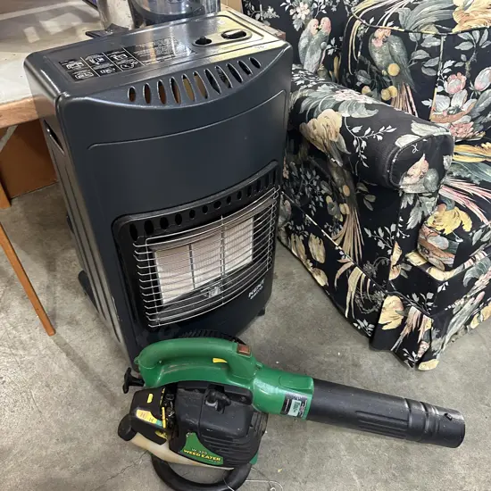 Blower and gas heater