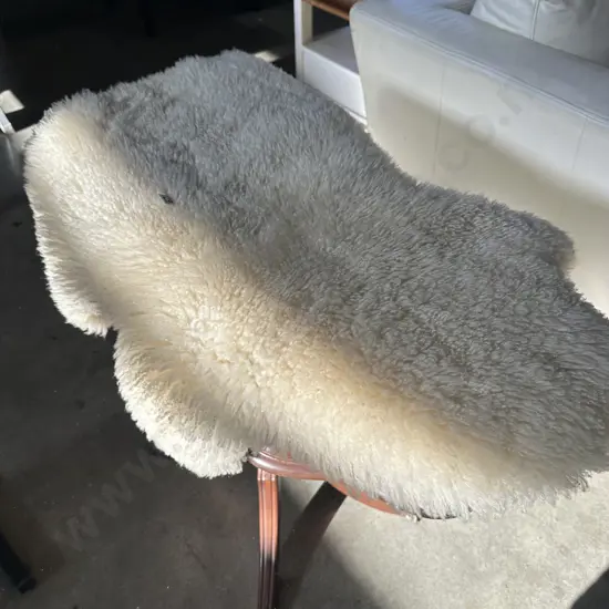 Sheep skin
