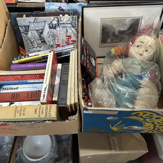 2 box pictures, dolls, books, toys
