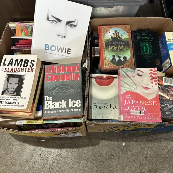 2 box books inc Bowie and pop up Harry Potter
