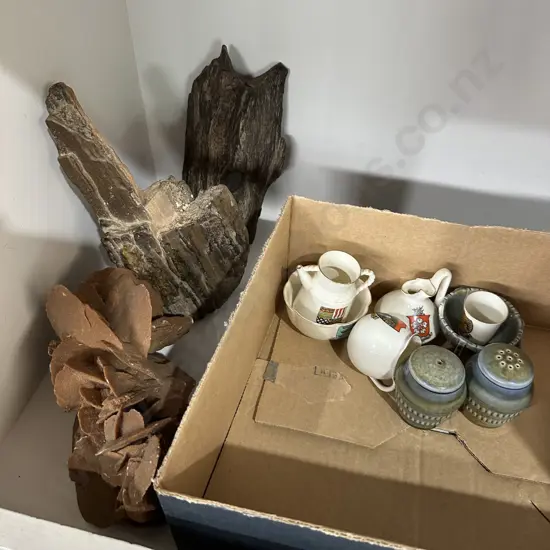 Collectables inc petrified wood