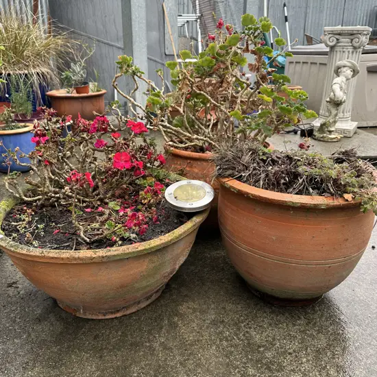 3 large terracotta planters