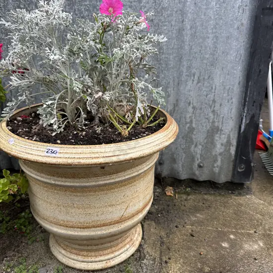 Larger planter