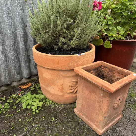 Large terracotta with lavender plus small planter