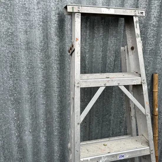 Ladder 6 foot