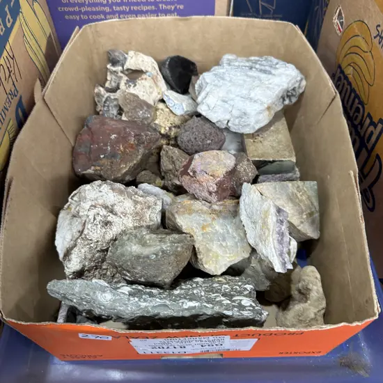 Crystals and fossils