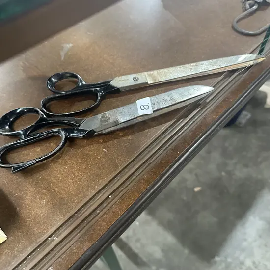 Italian 10inch & Warner USA long blade scissors