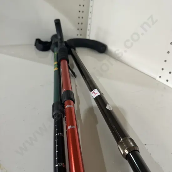 2 hiking sticks plus walking stick