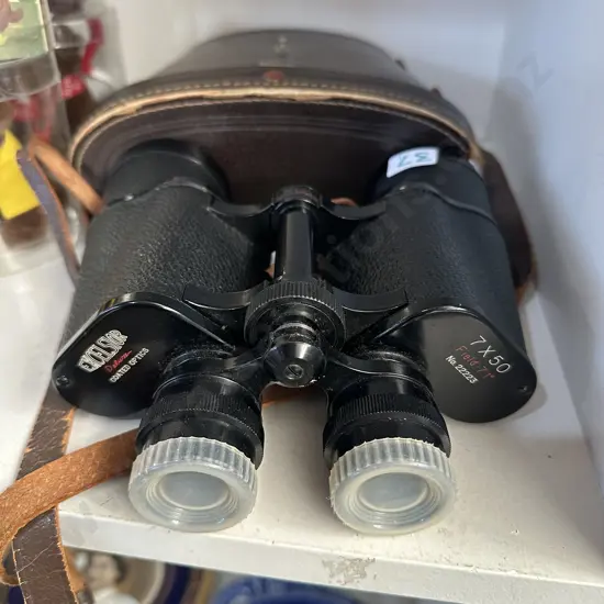Cased binoculars