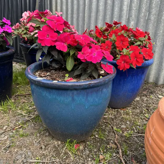 Pr of large pots and flowers