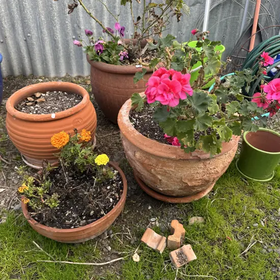 Terracotta pots