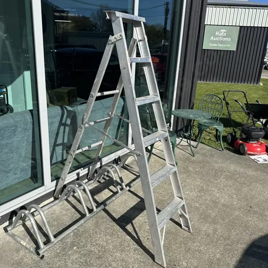 6 foot ladder