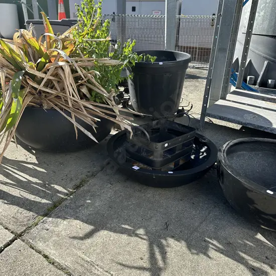 Potted plant plus asst pots