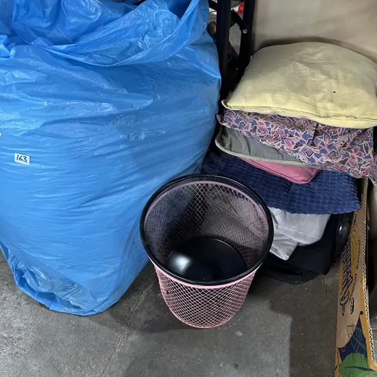 Bag asst plus cushions and baby thingy, bins