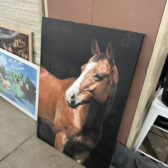 Horse picture