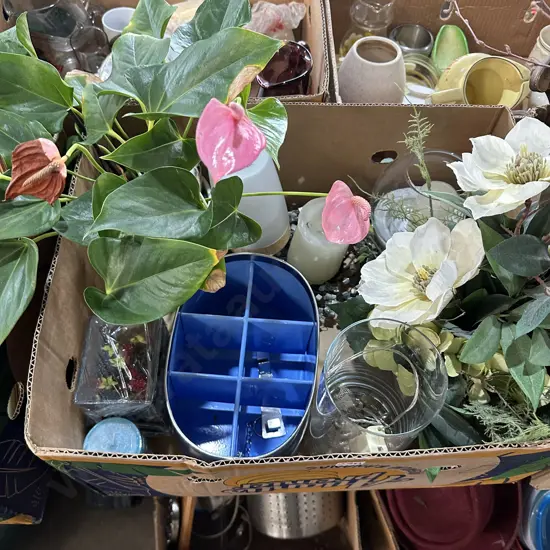 Real and fake plants etc