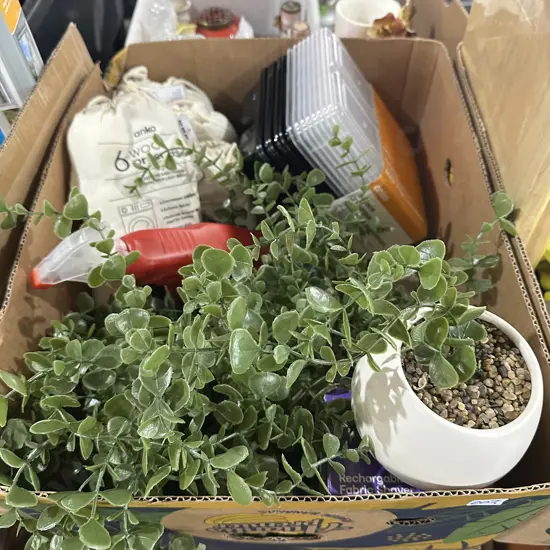 5 pots with fake creeper, wool balls, carpet cleaner etc