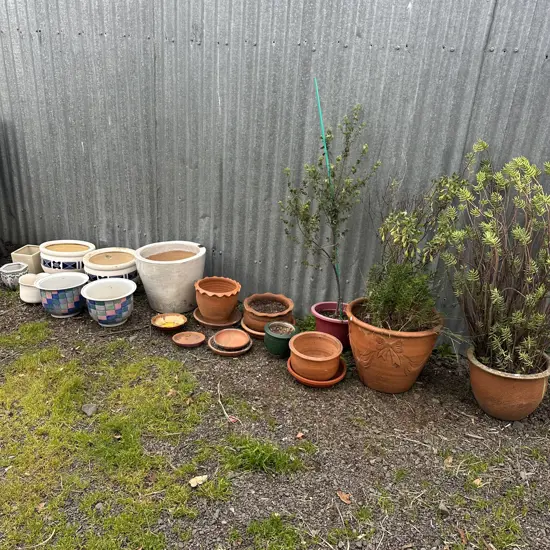 large lot of planters