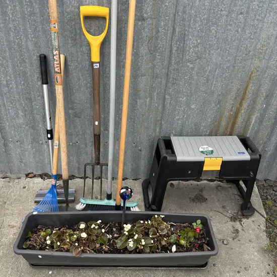 plant, stool, tools