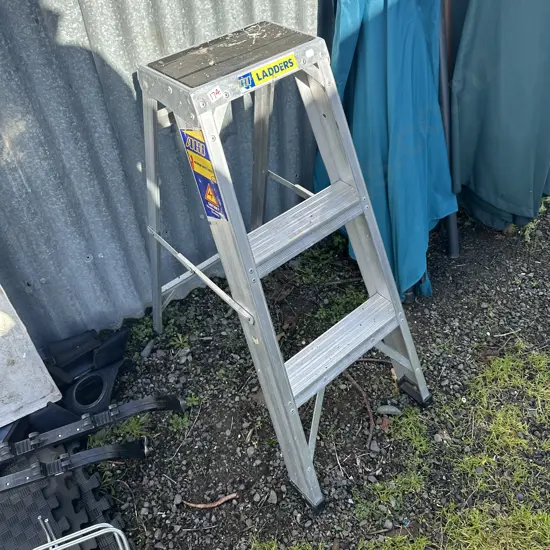 Short ladder