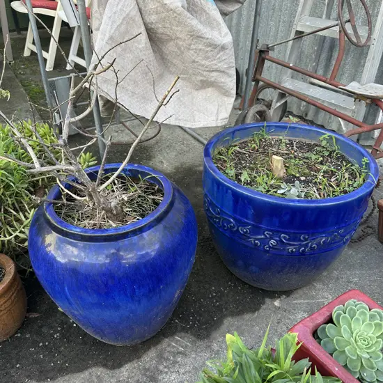 2 large blue planters