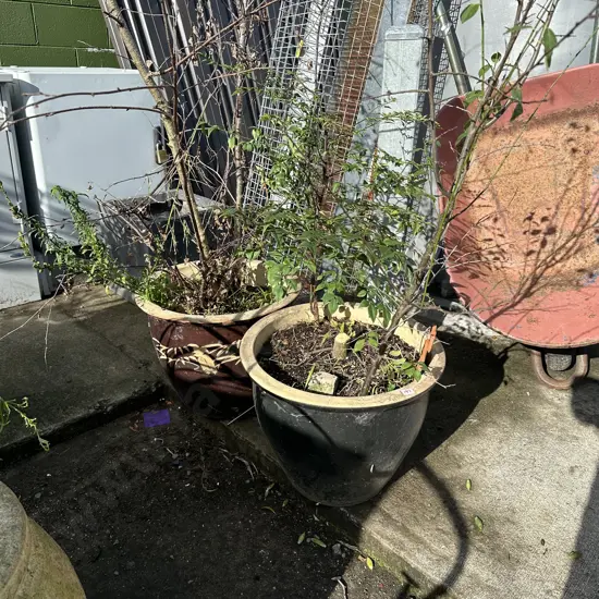 2 large planters and contents