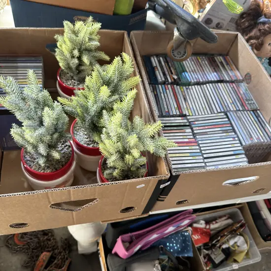 2 box CDs and plants