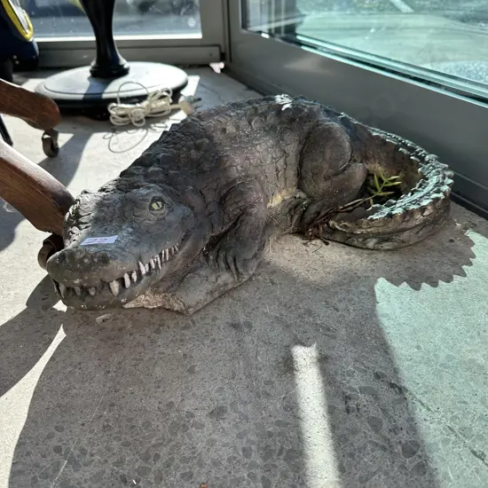 Concrete crocodile