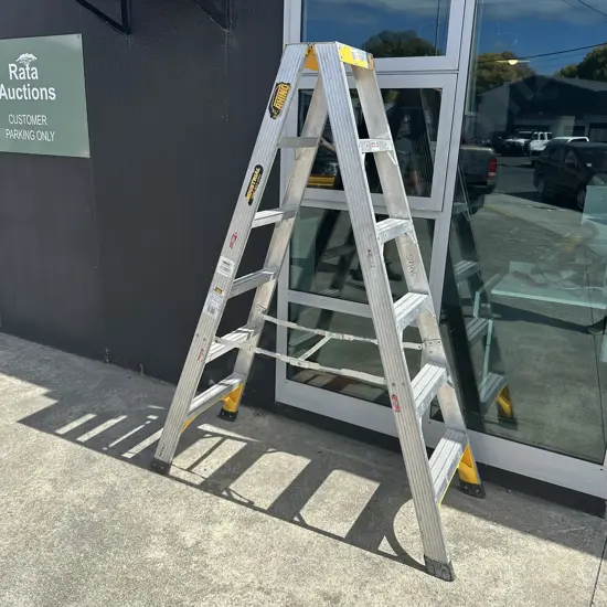 Alum double side ladder