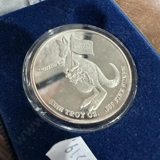 One Troy oz .999 silver coin