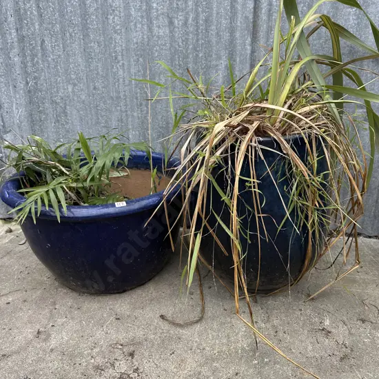2 large blue planters