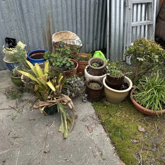 large selection planters