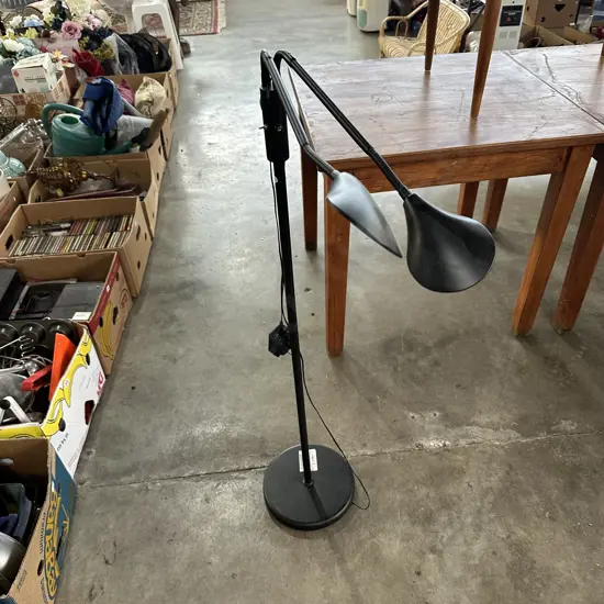 Twin reading lamp