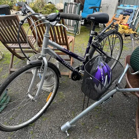 Bike, basket and rack