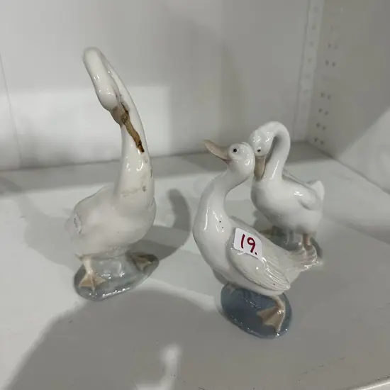 Nao ducks and swan