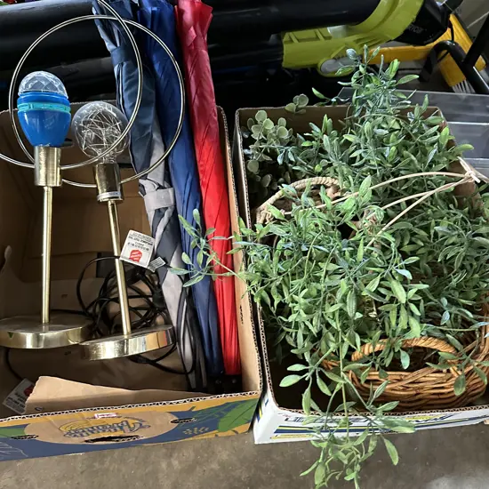 2 box umberllas, lamps, plants