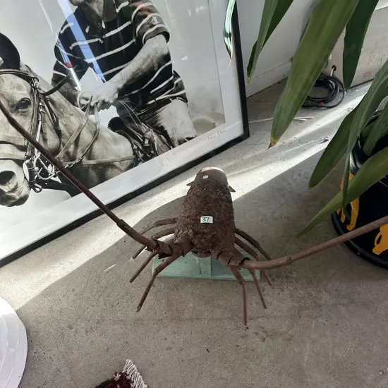 Wall mount steel crayfish