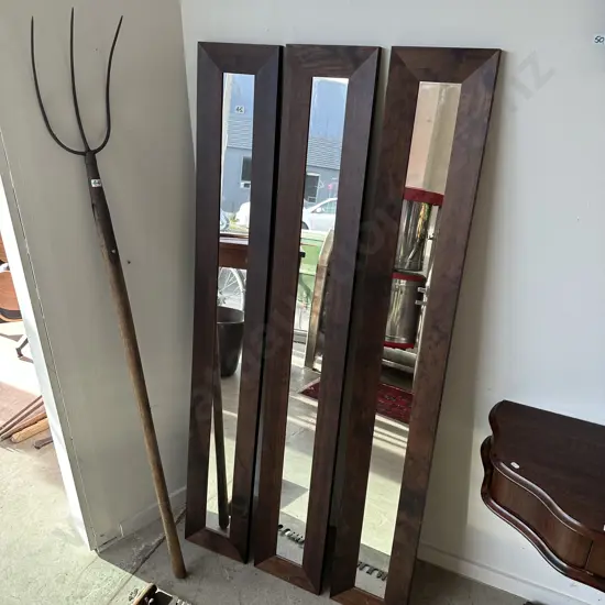 set of 3 long mirrors