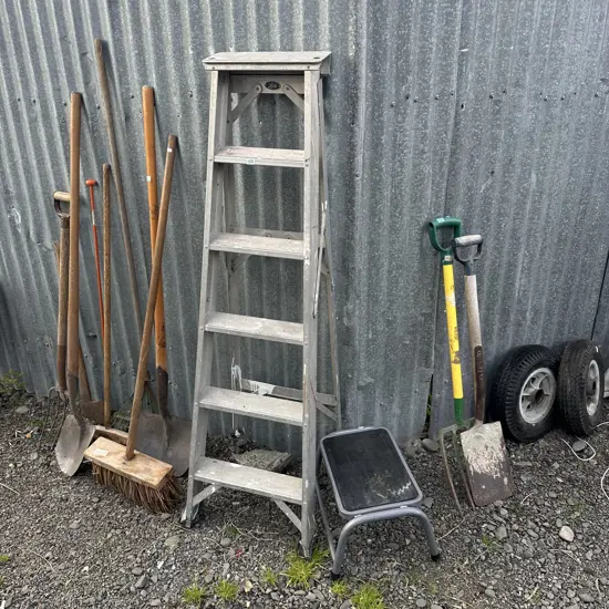 step and ladder