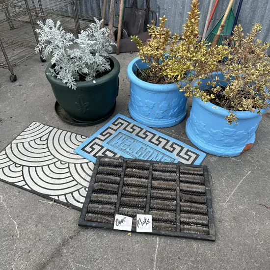 3 potted plants and door mats