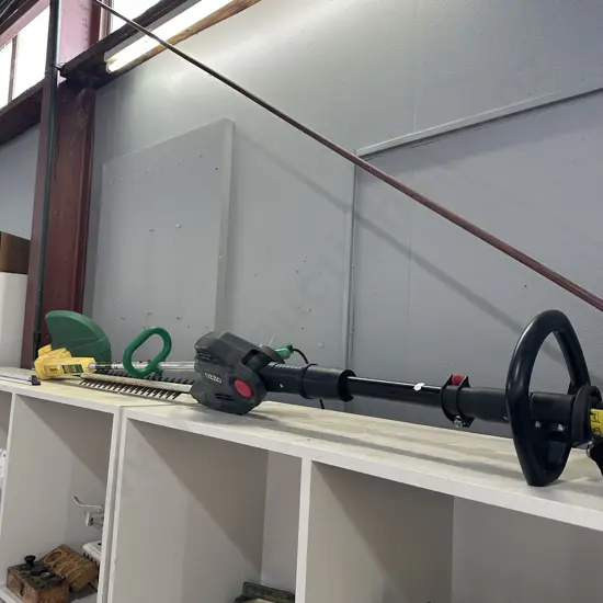 extendable trimmer plus strimmer