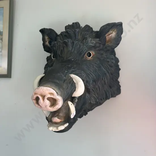 Wild Boer (moulded) wall mount, neck to snout 500mm