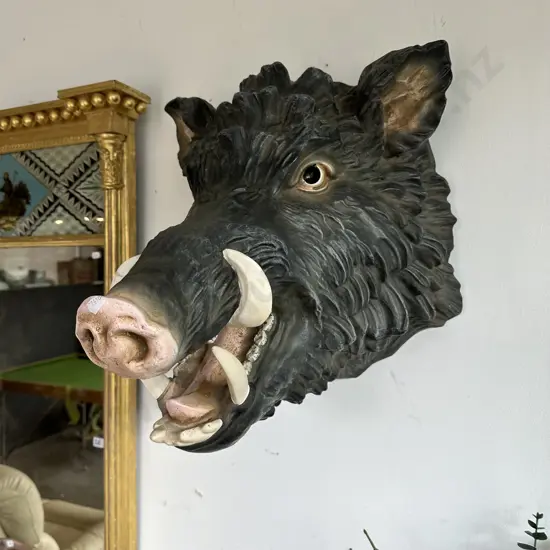 Moulded Boer head