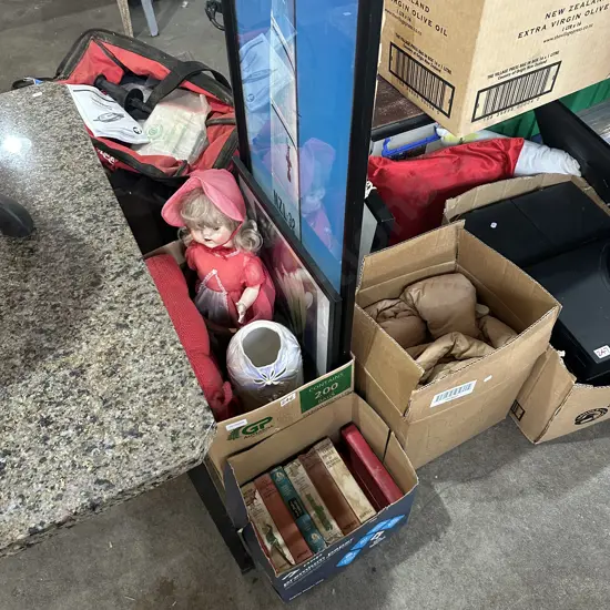3 boxes duck down sleeping bags, books, pictures, doll etc